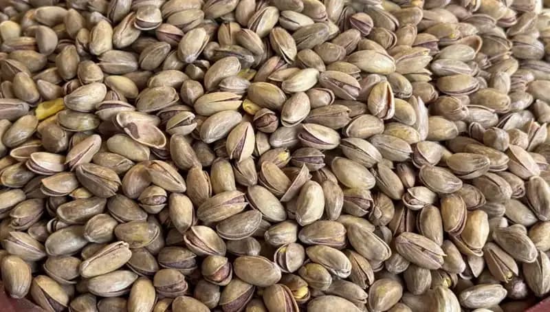 Yılın İlk Çeyreğinde Fıstık İhracatı Rekor Kırıyor: 59,7 Milyon Dolar!