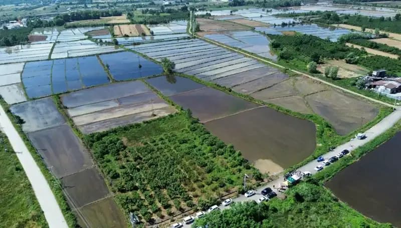 Osmanlı Saray Mutfağının Geleneksel Lezzetleri Toprakla Buluştu: Yeni Tadilat ve Proje