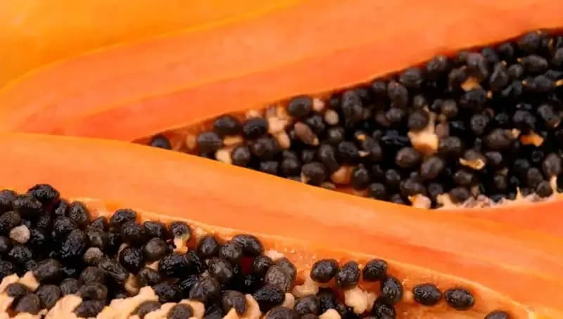 Aç Karnına Yemek: Vücudu Temizleyen Gizli Etkiler