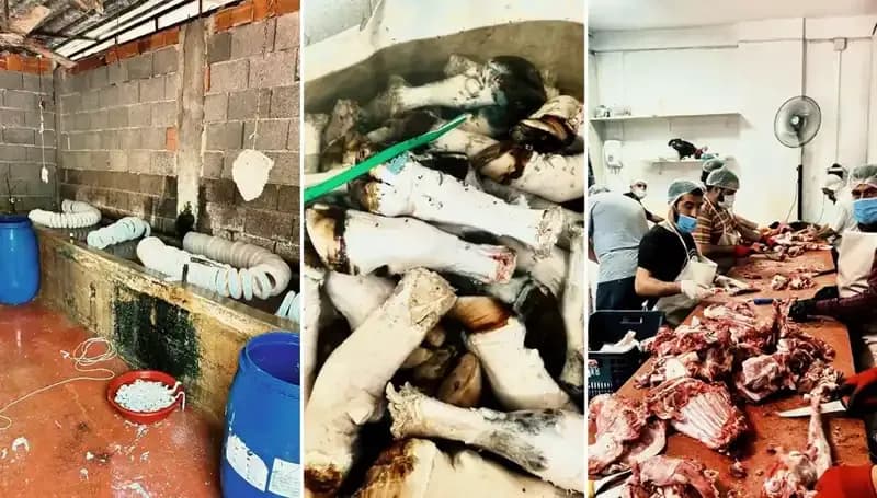 Adana'da Mide Bulandıran Paça Ele Geçirildi: Skandal Detaylar Ortaya Çıktı