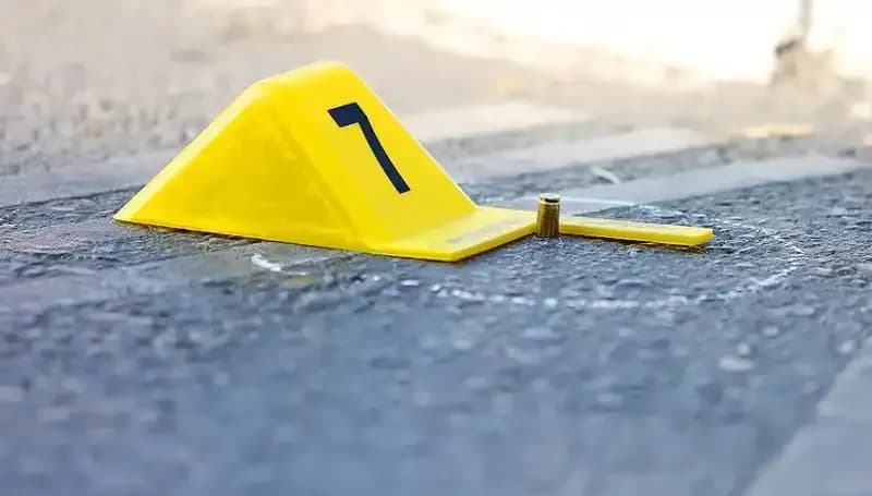 2024'te Kadın Cinayetleri: 394 Hayat Yitirildi, Kaderleri Aynı Ama İsimleri Farklı