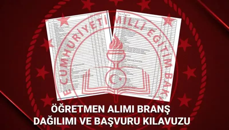 2025 MEB Öğretmen Atamaları: Branş Dağılımı ve Başvuru Kılavuzu