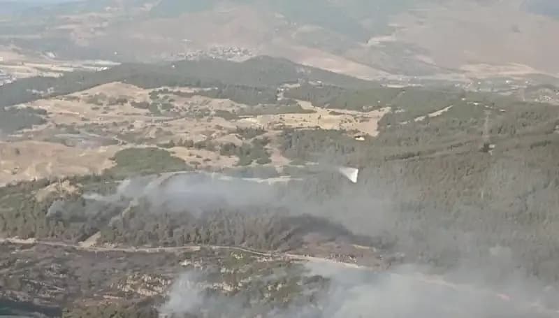 İzmir Orman Yangınları Sonunda Kontrol Altına Alındı: Detaylar ve Son Durum