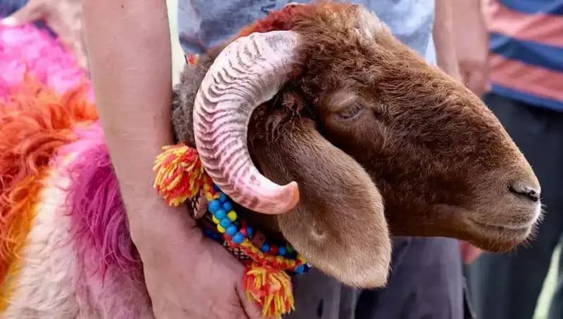 Kurban Bayramı'na Ne Kadar Gün Kaldı? Tarih ve Detaylar!