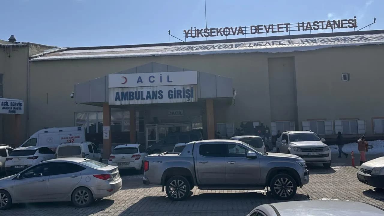 Müfettiş, Başıboş Köpeklerin Saldırısıyla Ölen Çocuk Olayını İnceliyor