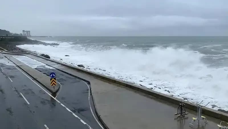 Trabzon'da Denize Girmek Neden Yasaklandı? Tüm Detaylar Burada!