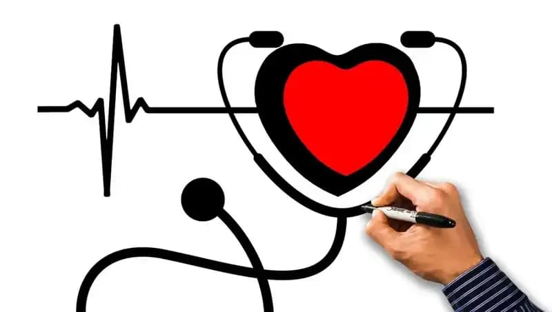 Aort Damarı: Hayati Önemi ve Yırtılma Nedenleri Hakkında Bilinmesi Gerekenler