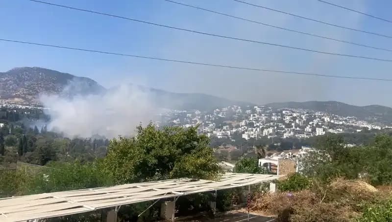 Muğla'da Orman Yangınları Kontrol Altına Alındı, Yeniden Hayata Dönülüyor!