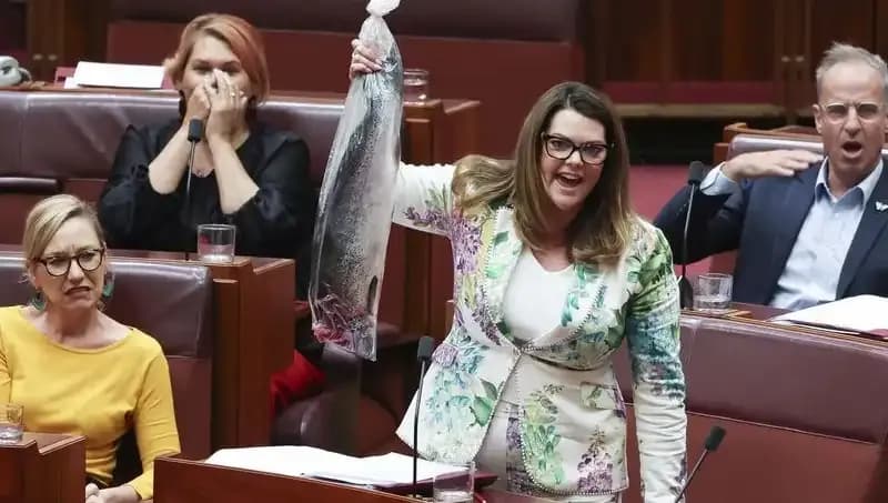 Parlamentoda Çürük Balık Protestosu: Senatörler Kötü Kokuya Daha Fazla Dayanamadı