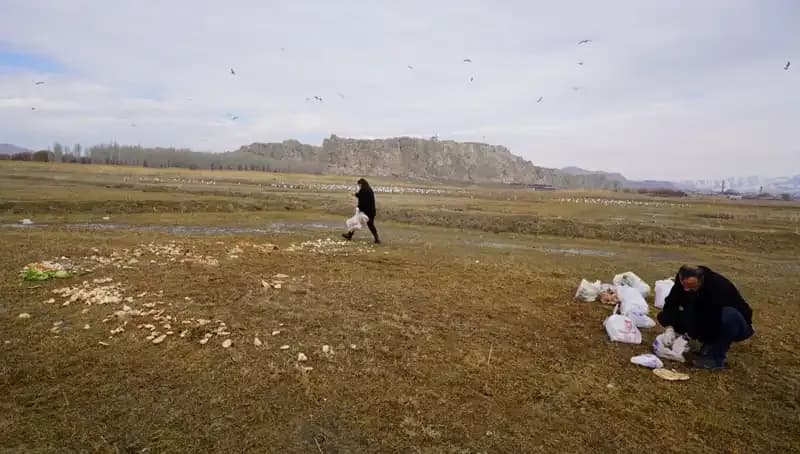 17 Yıldır Ekmek Kırıntıları Toplayan Adamın Hayat Hikayesi