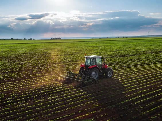 Ekonomik Büyüme Neden Tarımı Kaldıramıyor? Çarpıcı Gerçekler