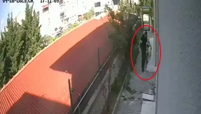 Evdeki Köpekleri Parçalayan Doktor: Korkunç Olayın Ayrıntıları!