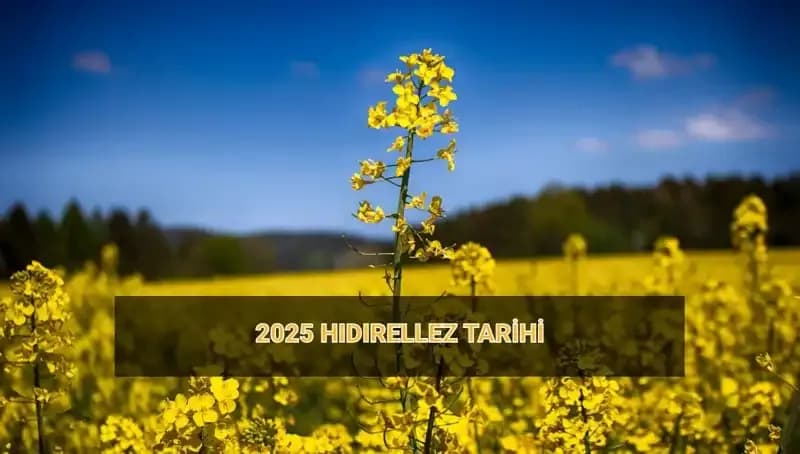 Hıdırellez: 2025 Yılı Ritüelleri ve Gelenekleri Hakkında Bilmeniz Gerekenler