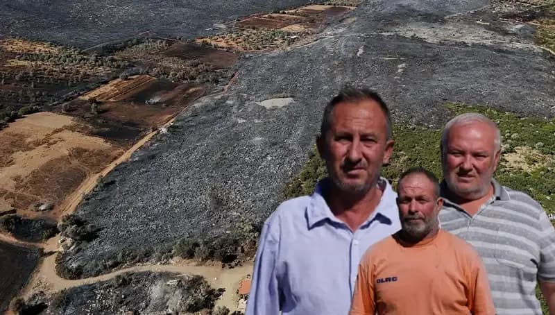 Çeşme Yangınında Yaşanan Felaket: "Her Şeyim Gitti" Diyenler Var