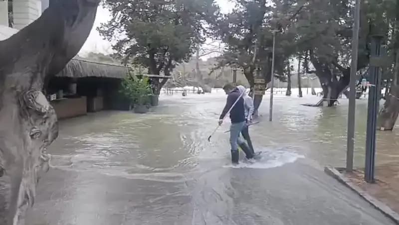 Manavgat Irmağı'nda Yükselen Sular, Yerel İşletmeleri Zor Duruma Soktu