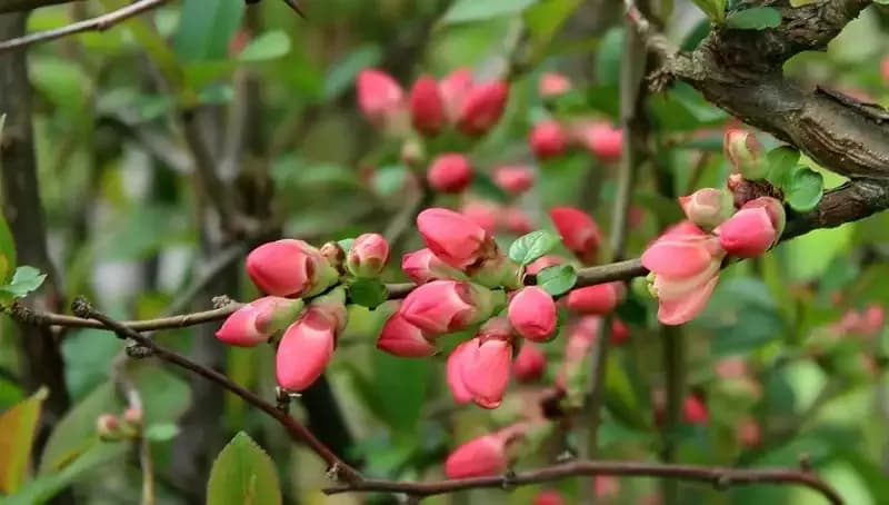 Baharın Müjdecisi Nisan Ayında Paylaşabileceğiniz Anlamlı Mesajlar