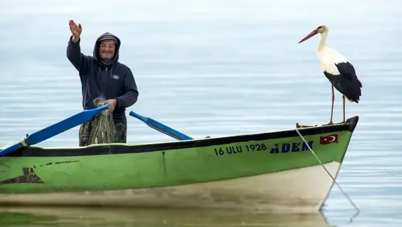 Yaren Leylek Geldi Mi? Doğa Hayranlarını Heyecanlandıran Bir Gelişme