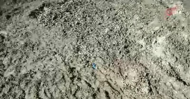 İstanbul'da Kayıp Çinli İş İnsanının Cinayetinde Şok Gelişme