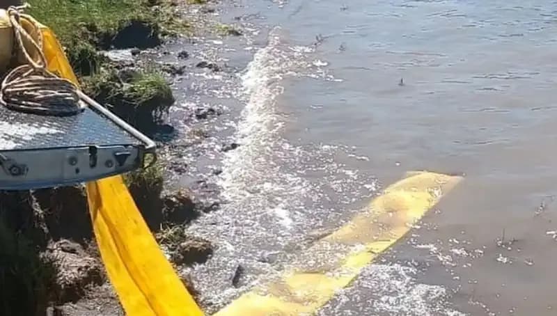 Yöre Göletlerine Yüzlerce Yavru Balık Salınıyor: Sürdürülebilir Su Kaynakları için Önemli Adım