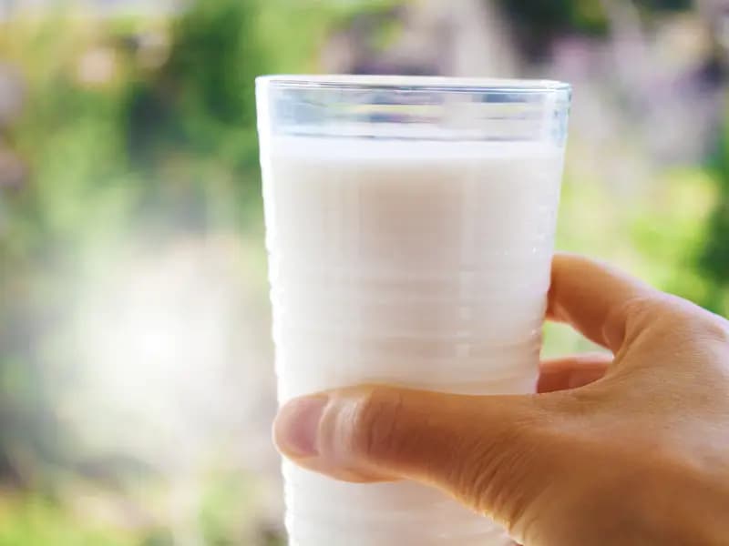 Günde 1 Bardak Süt İçmek İnme Riskini Yüzde 10 Azaltıyor