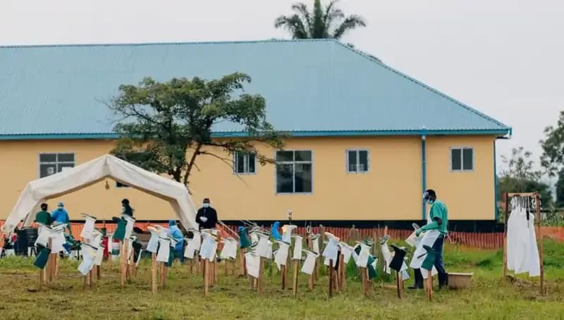 DSÖ, Marburg Virüsü Salgınının Resmen Sona Erdiğini Açıkladı