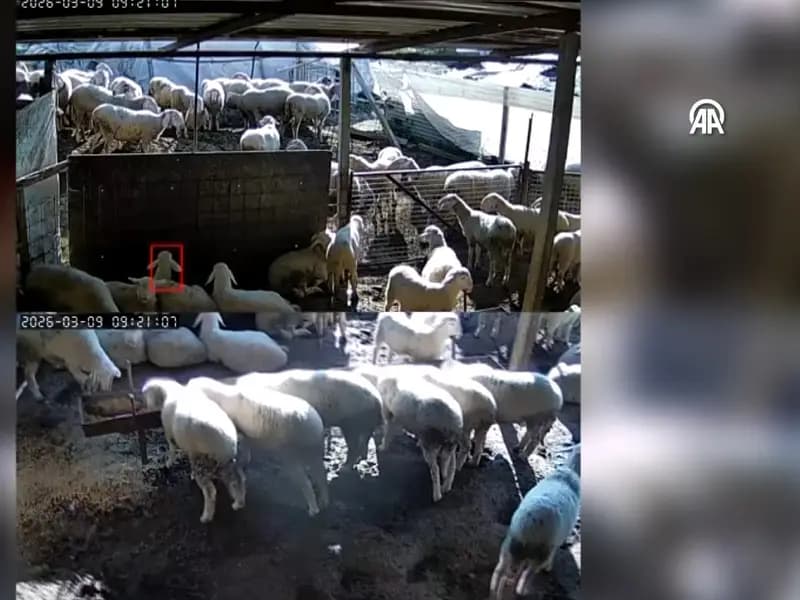 Denizli Buldan'da 5.1 Büyüklüğünde Deprem Meydana Geldi