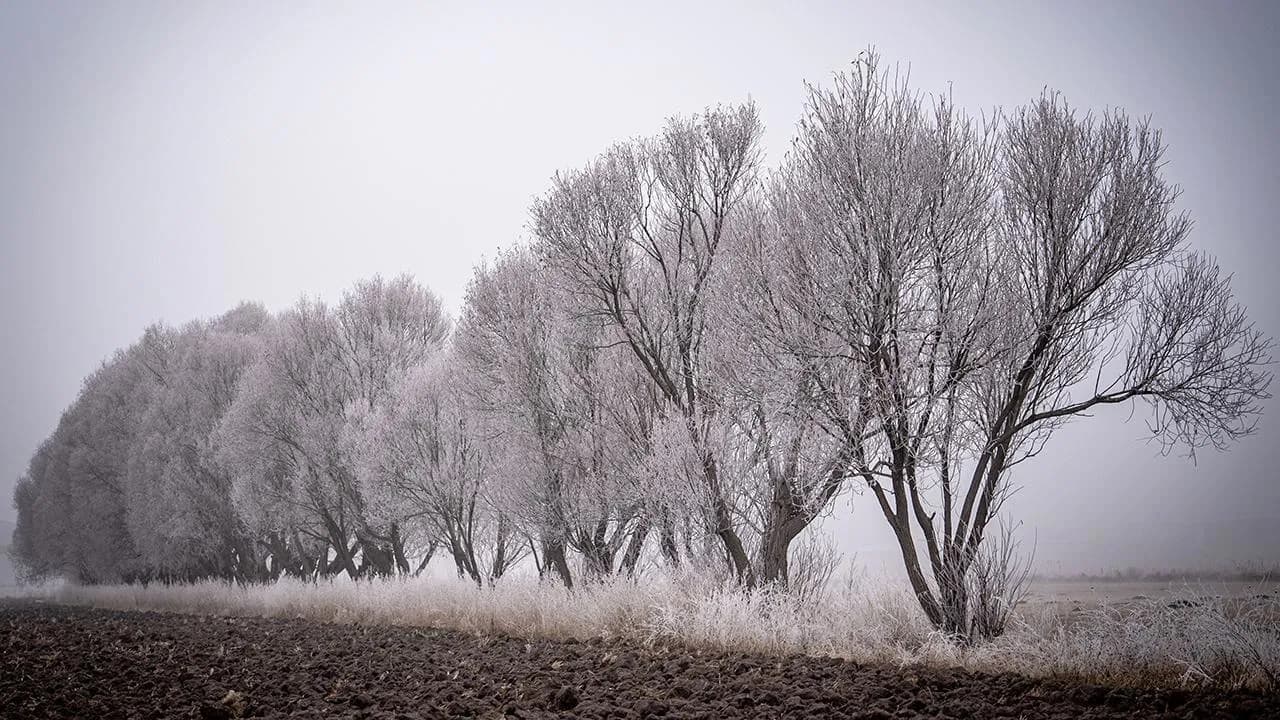 Doğu buz kesti: Erzurum'da sıcaklık rekoru kırıldı