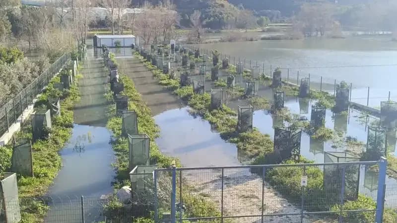 Otoyol Şantiyesi Sular Altında Kaldı: Irmak Taştı, Felakete Neden Oldu