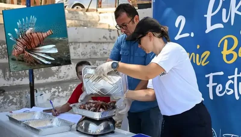 Antalya'da İstilacı Aslan Balığı Avlama Yarışması: Denizlerin Korunması İçin Bir Adım