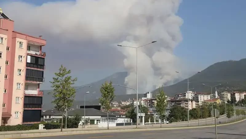 Denizli'de Orman Yangını Patlak Verdi: Şüpheli Gözaltında