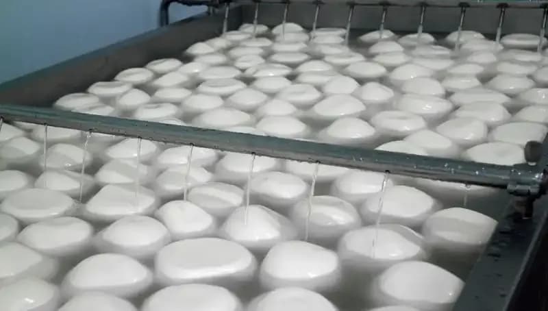 Gıda Güvenliği Alarmı: 60 Ürün Geri Çağrıldı, 9 Kişi Hayati Tehlike Teşkil Ediyor!