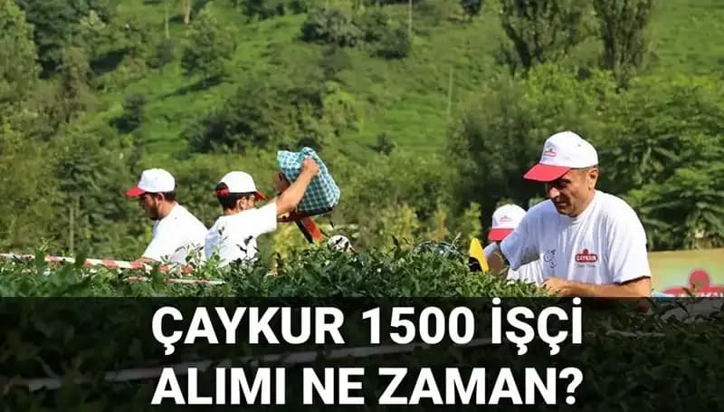 Çaykur İşçi Alımı Başvuru Tarihleri Açıklandı: 2023’teki Süreç Hakkında Bilmeniz Gerekenler