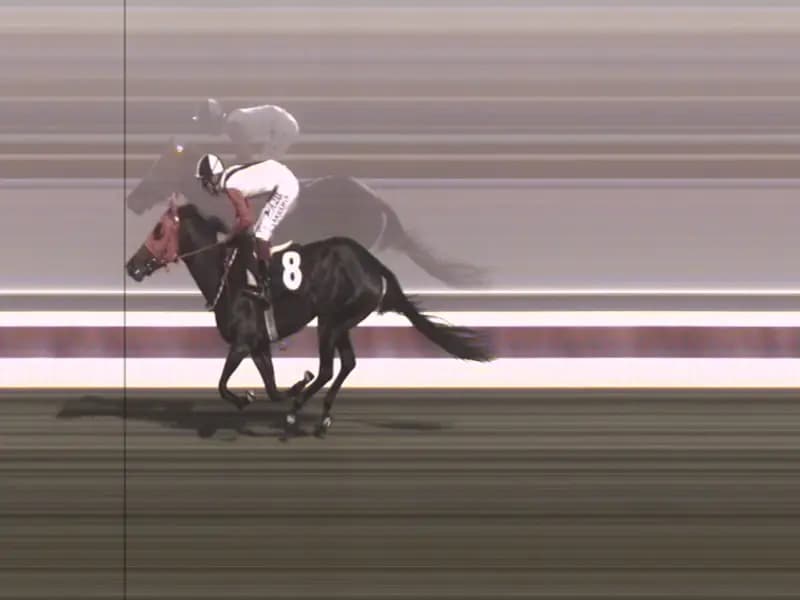 Mersin'de Kavurmada Çıkan At Eti: "Smart Latch" Kimliği Belirlendi