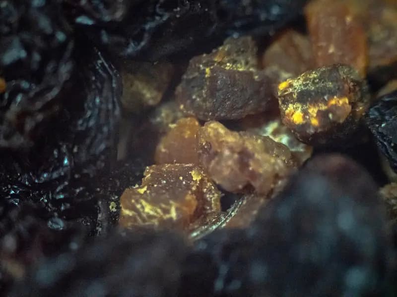 Bağışıklığı Güçlendiren ve Yaşlanmayı Yavaşlatan Süper Gıdalar