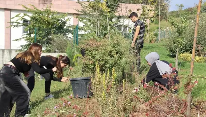 Düzce’nin Yıldızı: Hayalini Gerçeğe Dönüştüren Girişimci Hikayesi