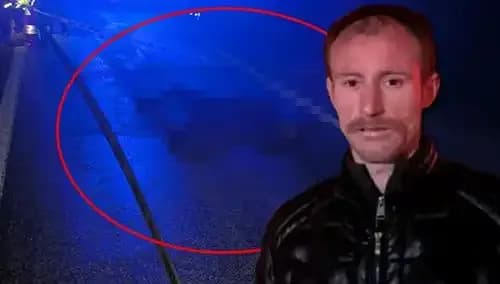 Kamyonetle Hayvanı Ezdiğini Sanan Sürücü, Korkunç Bir Ölümle Yüzleşiyor!
