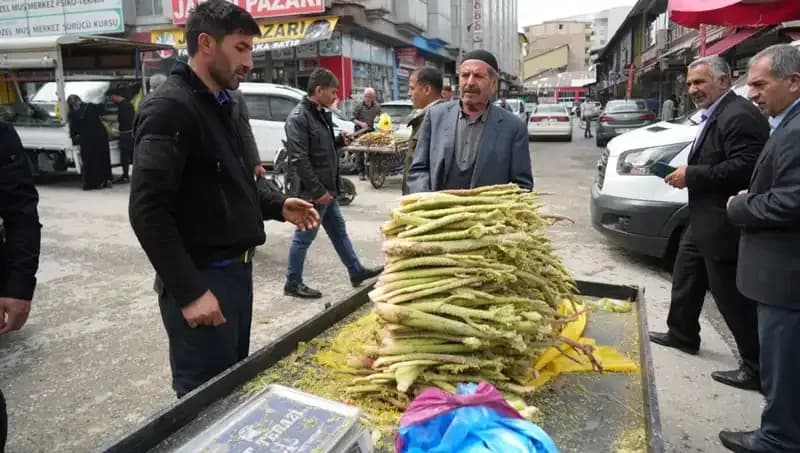 Dağlık Alanların Gizemi: Şekerin Sağlığa Faydaları ve Pazardaki Yeri