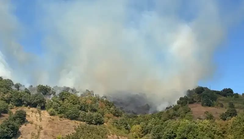 Düzce'deki Orman Yangını: Hızla Yayılıyor ve Uçaklar Havada