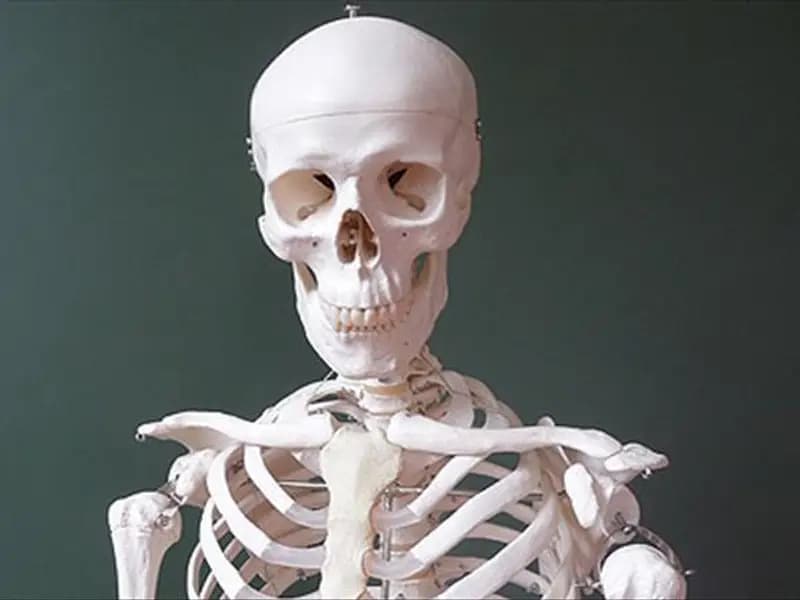 İklim Krizi Kemiklerimizi Zayıflatıyor: Karbondioksit Etkisi