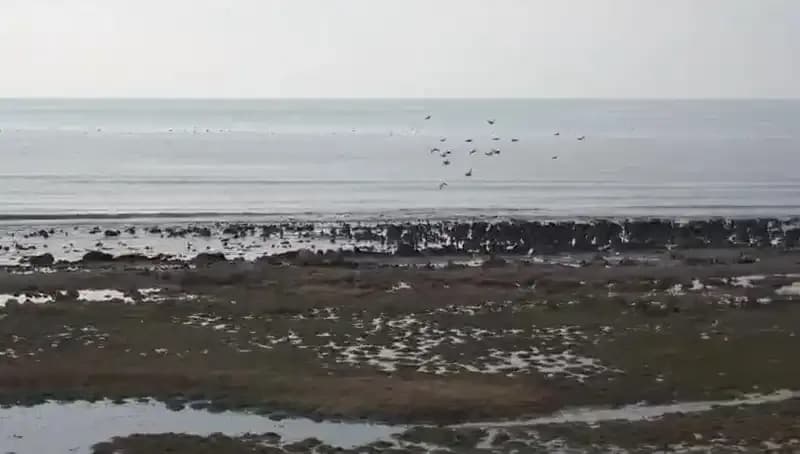 Türkiye’nin En Büyük Gölü: Su Seviyesi Alarm Veriyor!