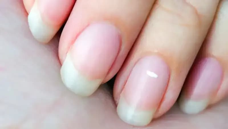 Tırnaklarınız, Sağlığınızın Gizli Göstergesi: Ne Kadar Süre Kaldı?