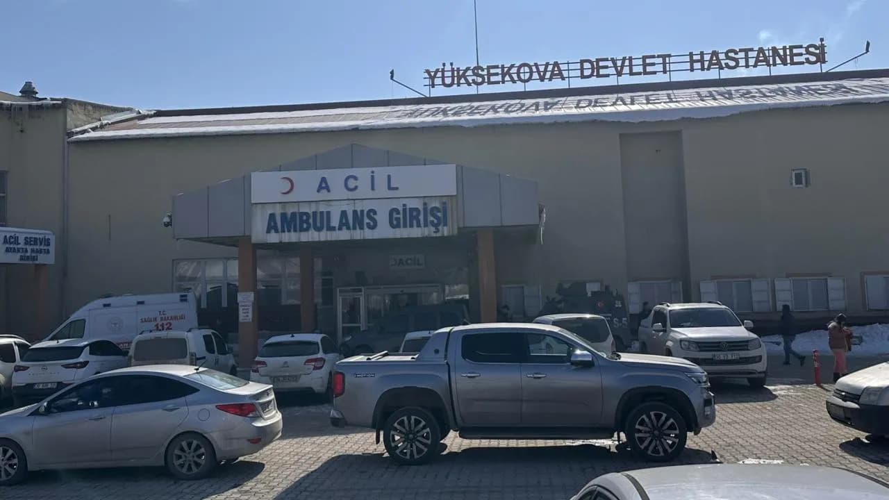 Hakkari'de Köpek Saldırısında Çocuk Hayatını Kaybetti