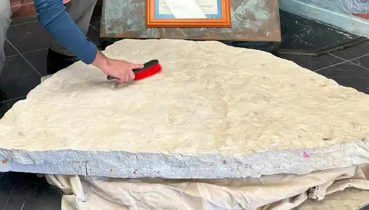 Okul Bahçesinde 200 Milyon Yıllık Dinozor Ayak İzleri Bulundu!