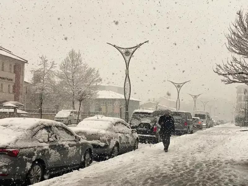 Doğanın Damarlarındaki Zorlu Sınav: Kuvvetli Yağışlar ve Heyelan Tehlikesi