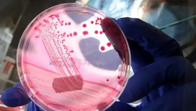 Bilim Dünyasını Sallayan Keşif: AP2A1 Proteininin Yaşlanmayı Nasıl Önlediği