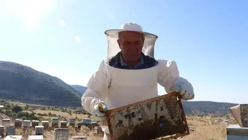 25 Yıl Sonra Mobilyadan Çilek Üretimine Geçti: 2 Ton Hasat Etti