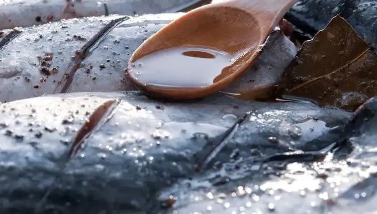 78 Yaşındaki Doktorun 20 Yaş Gençleştiren 7 Besin Sırrı