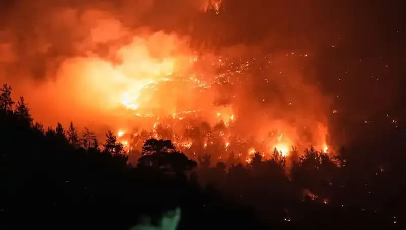 Orman Yangını Bursa-Balıkesir Sınırında Kontrol Altına Alındı: Son Gelişmeler