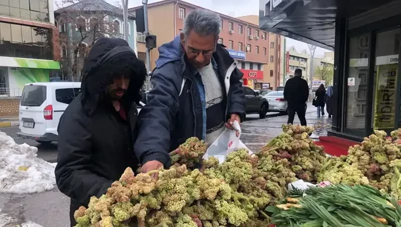 Kendiliğinden Yetişen Doğal Bir Mucize: Kanserin Yeni İlacı mı?