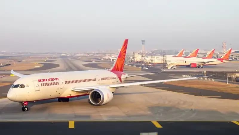 Valizden 48 Zehirli Yılan ve 5 Kaplumbağa Çıktı, Şok Edici Olay!